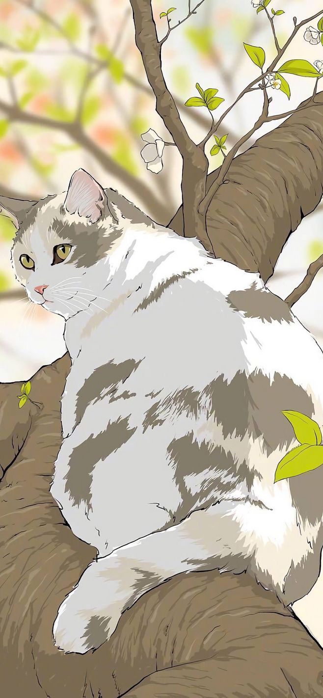 梦里猫落（新）